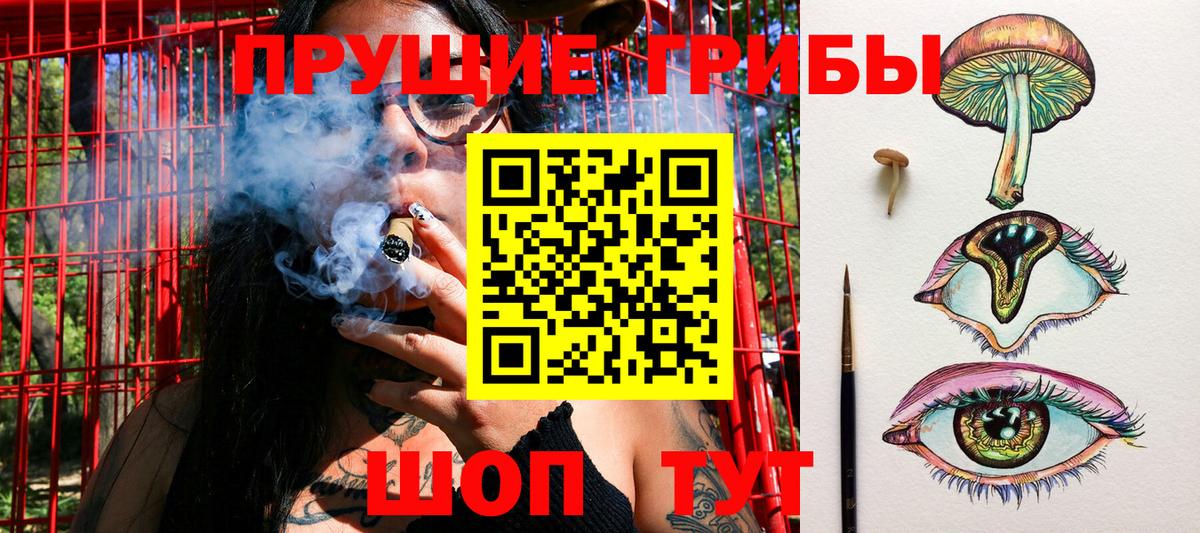 Галлюциногенные грибы прущие грибы  Галлюциногенные грибы прущие грибы  Вход с VPN  Симферополь 